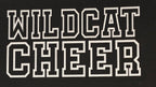 Napoleon Wildcat Cheer Bag