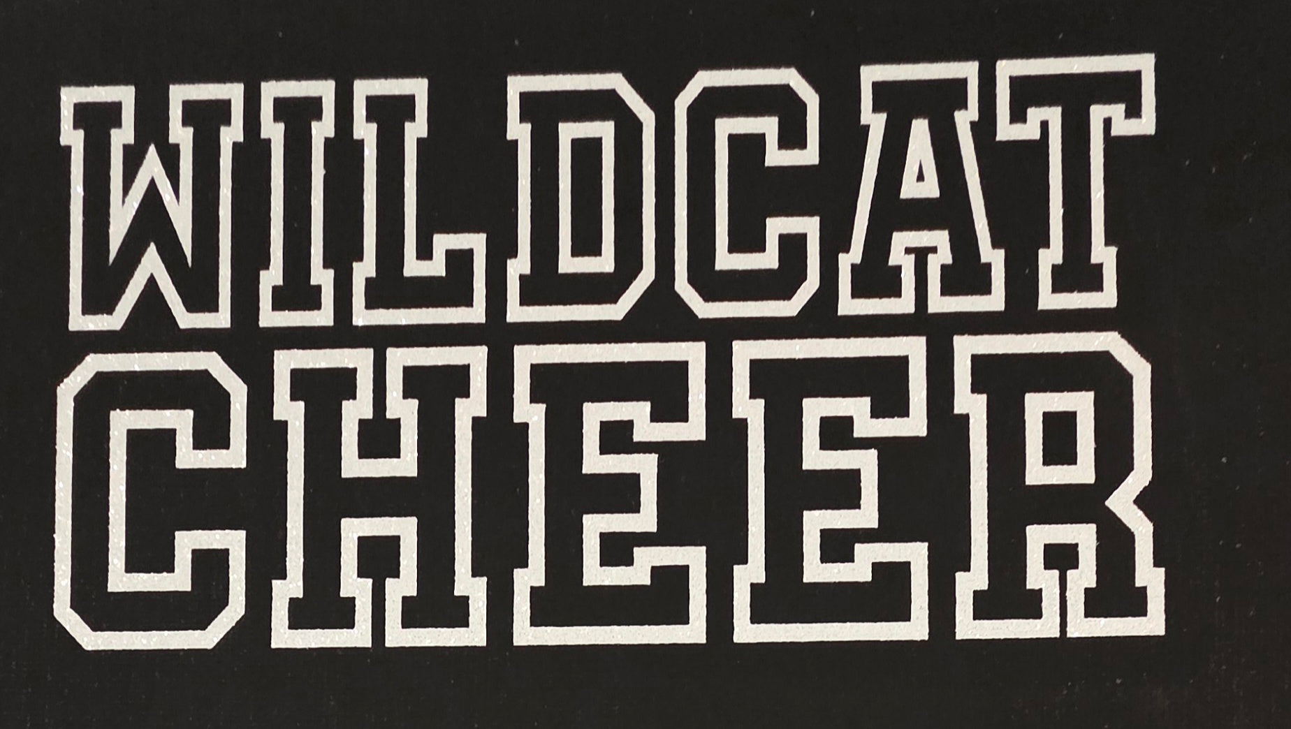 Napoleon Wildcat Cheer Bag
