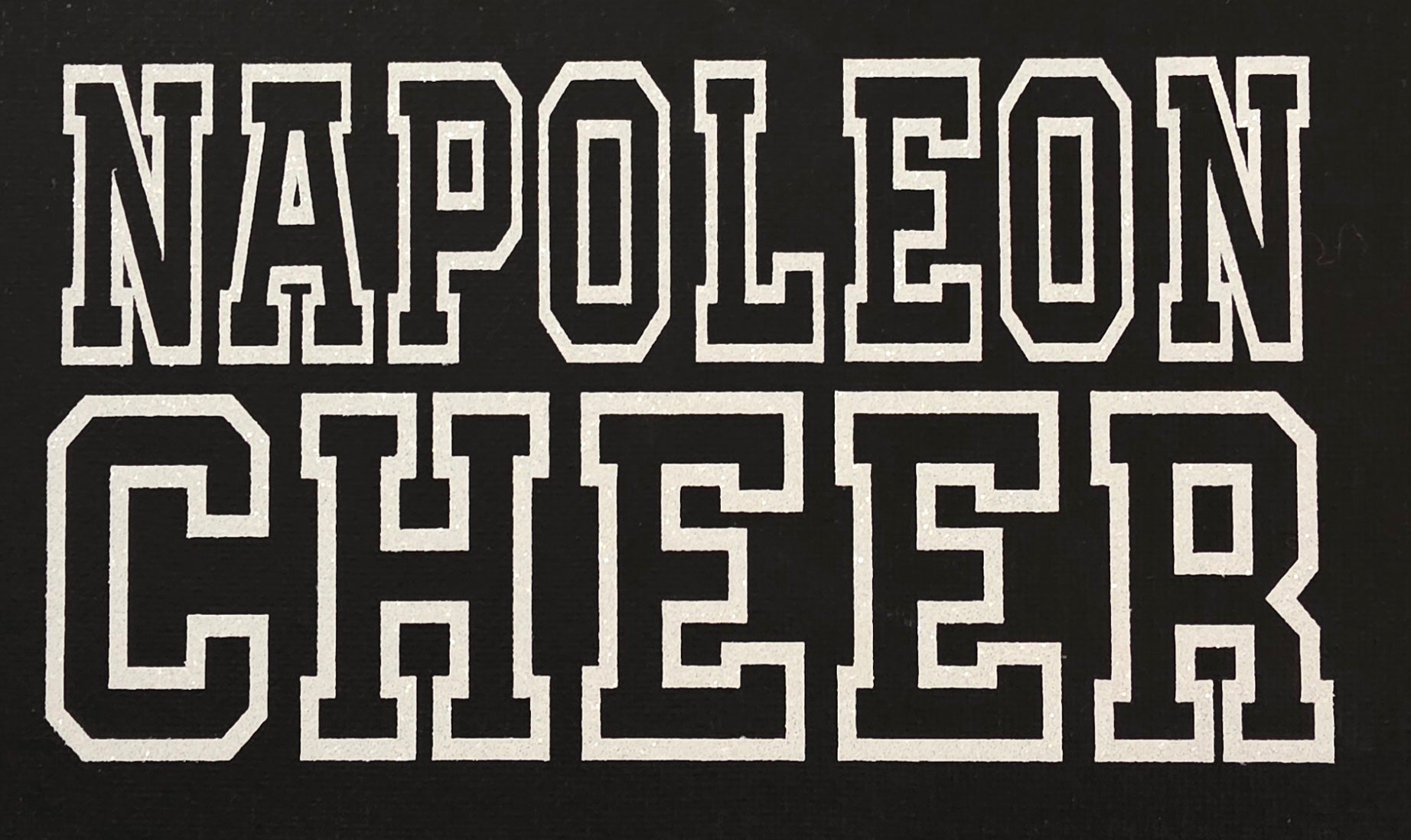 Napoleon Wildcat Cheer Bag