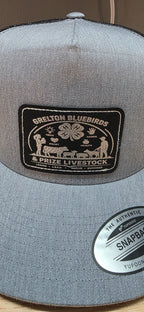 Grelton Bluebirds Hat