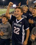 Replica Napoleon Wildcats Jersey