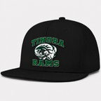 Ultima Snapback Raised Embroidered Design
